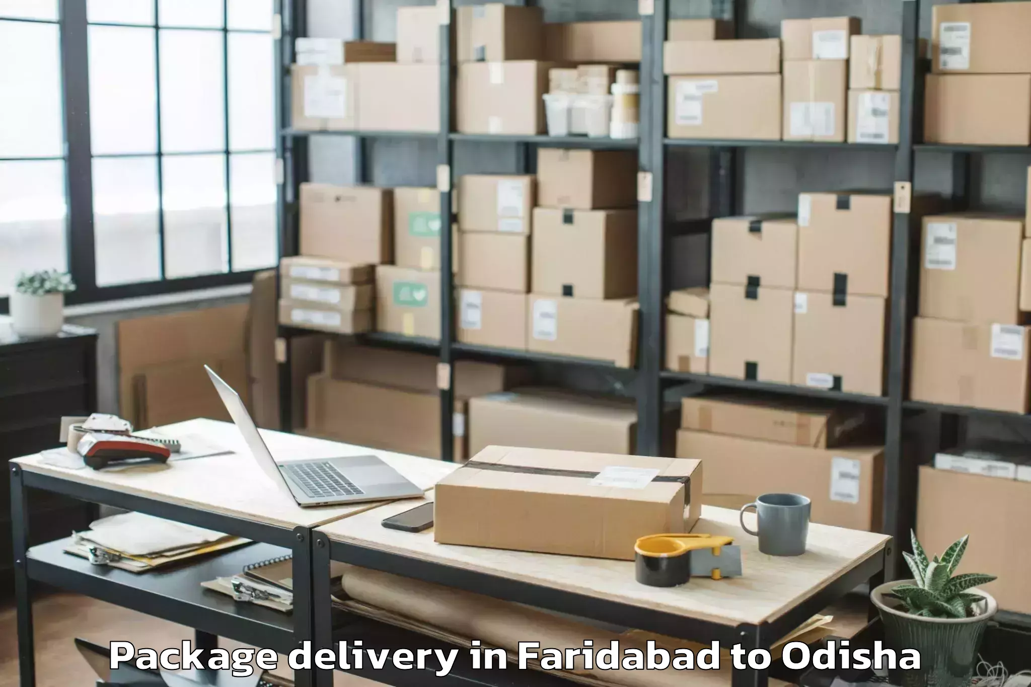 Professional Faridabad to Mahulapada Package Delivery